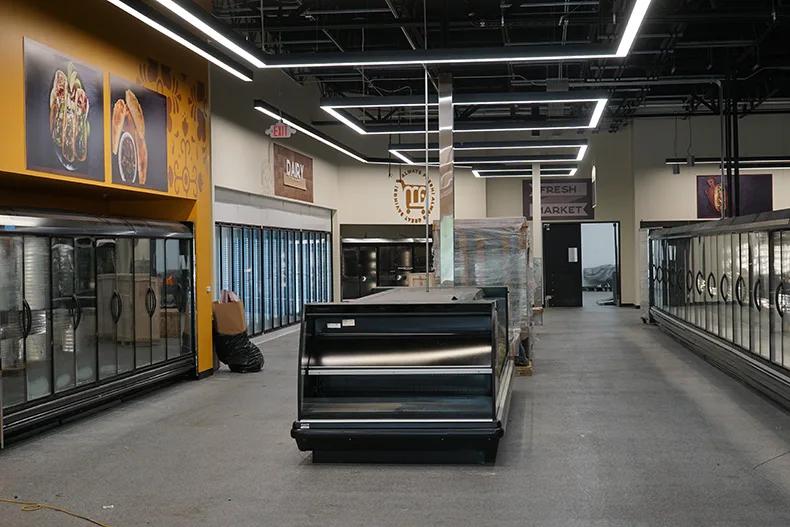 Frozen section