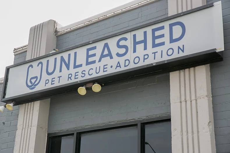 Unleashed in August 2026. Photo credit Juliana Garcia. 