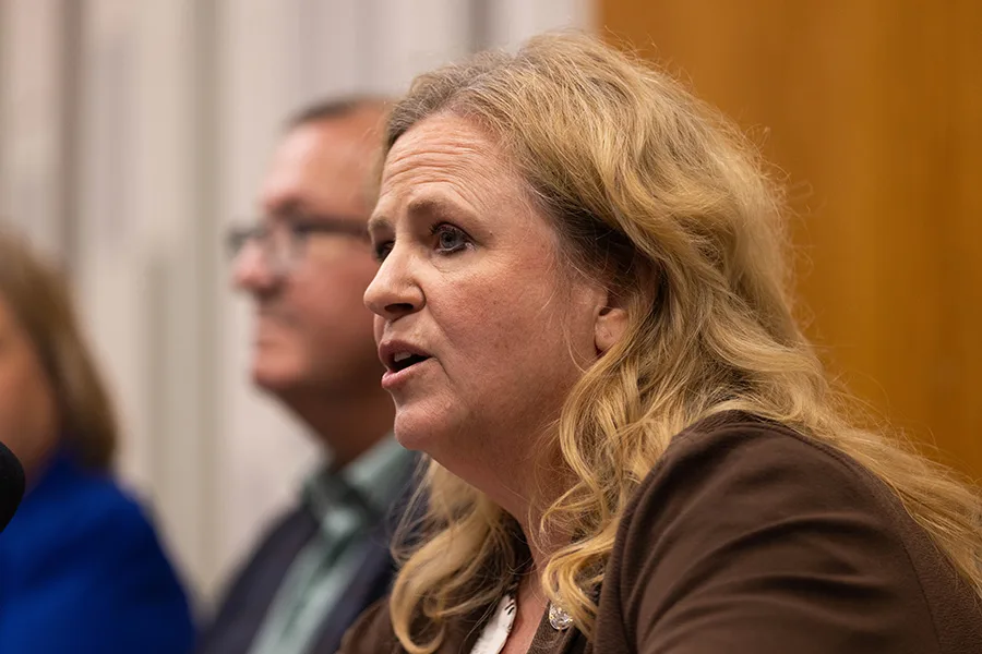 Robyn Essex is seeking reelection to House District 78.