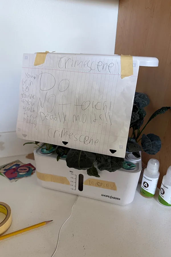 A sign written by students warns others not to touch it. Although the plant did have mold, it was not actually dangerous.